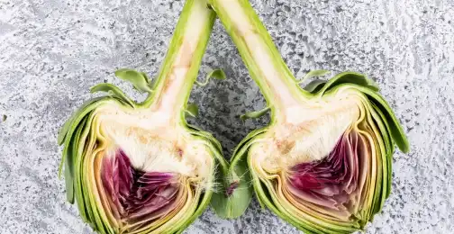 Artichoke Extract Powder: A Natural Liver Health Solution